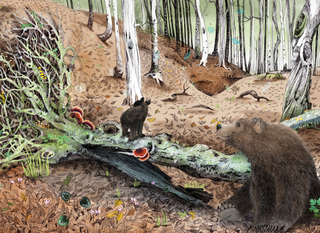 Home Page - Cocai Design e Cocai Books