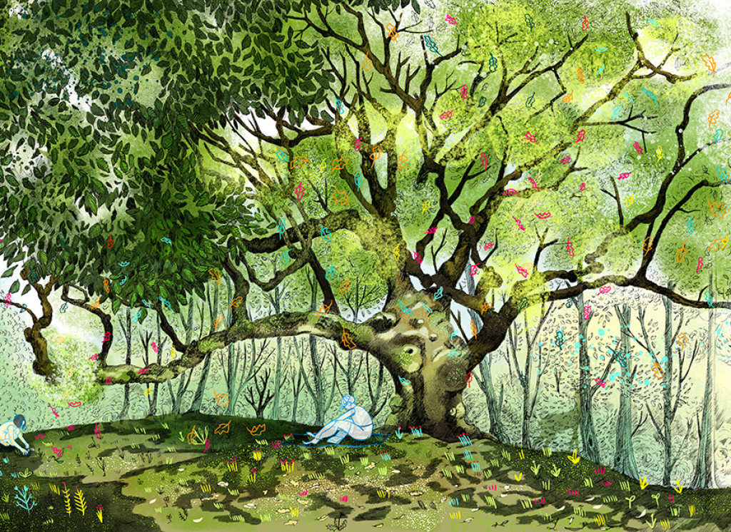 Home Page - Cocai Design e Cocai Books